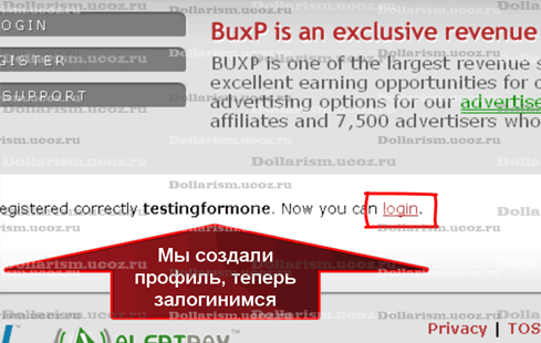 регистрация на Buxp, шаг 7